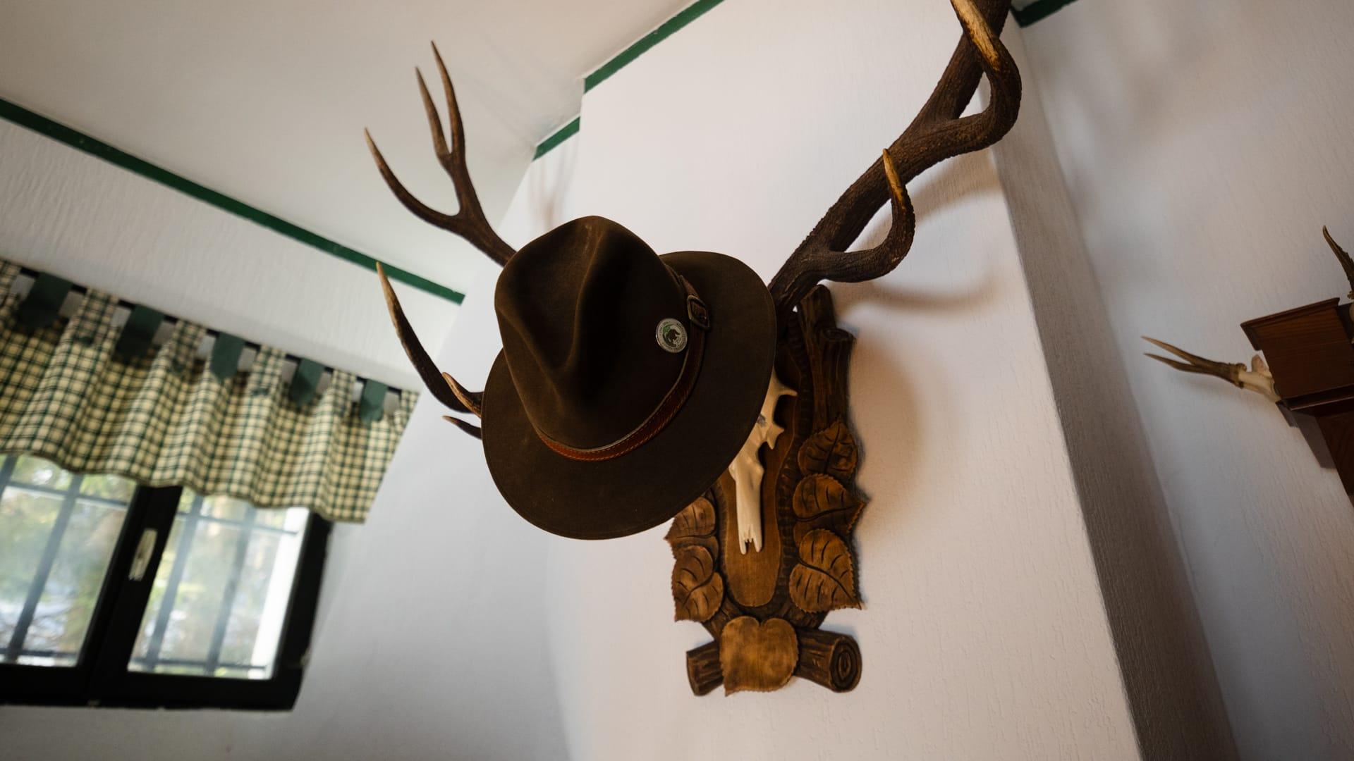 A photo from the House under Javorniki gallery